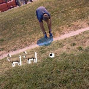 Meet your Posher, Damien